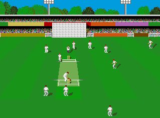 Pantallazo de 1 Meg Cricket para Amiga