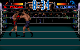Pantallazo de 3D World Boxing para PC