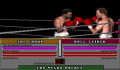 Pantallazo nº 63670 de ABC's Wide World of Sports Boxing (320 x 200)