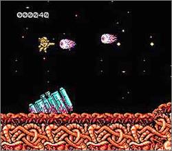 Pantallazo de Abadox: The Deadly Inner War para Nintendo (NES)
