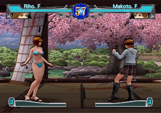 Pantallazo de All Star Fighters para PlayStation 2