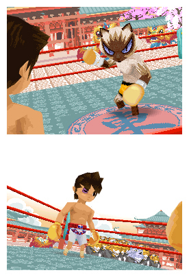 Pantallazo de Animal Boxing para Nintendo DS