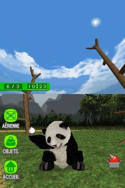 Pantallazo de Animalz: Mis Amigos los Pandaz para Nintendo DS
