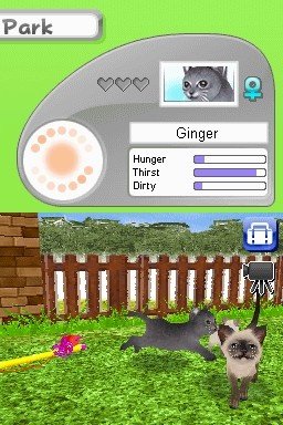 Pantallazo de Animalz: Una Familia de Catz para Nintendo DS