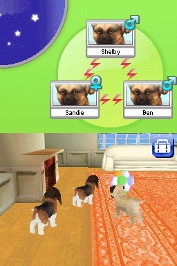 Pantallazo de Animalz: Una Familia de Dogz para Nintendo DS