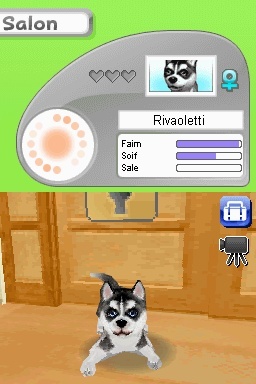 Pantallazo de Animalz: Una Familia de Dogz para Nintendo DS