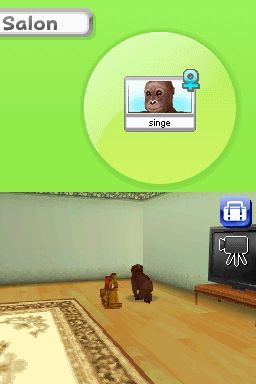 Pantallazo de Animalz: Una Familia de Monkeyz para Nintendo DS