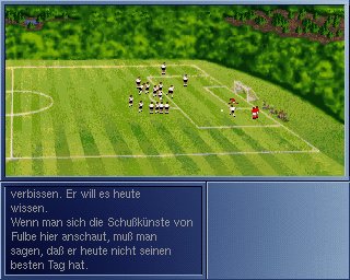 Pantallazo de Anstoss - World Cup Edition para Amiga