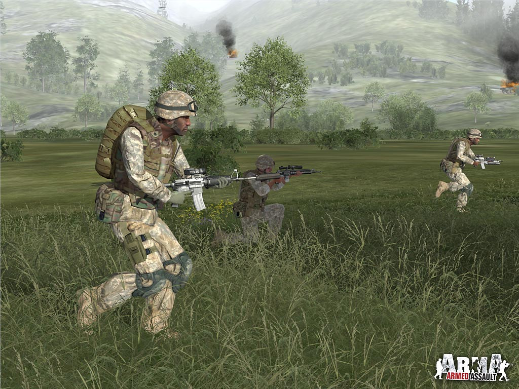 Pantallazo de ArmA : Armed Assault para PC