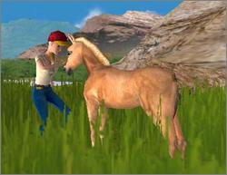 Pantallazo de Barbie Horse Adventures: Wild Horse Rescue para PlayStation 2