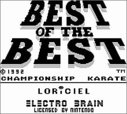 Pantallazo de Best of the Best Championship Karate para Game Boy