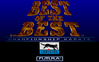 Pantallazo de Best of the Best Championship Karate para PC