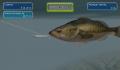 Pantallazo nº 116279 de Big Catch : Bass Fishing (681 x 495)