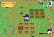 Pantallazo de Bokujou Monogatari: Shiawase no Uta for World (Japonés) para GameCube