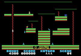 Pantallazo de Boogie Woogi Jungle para MSX