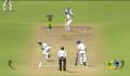 Pantallazo nº 107030 de Brian Lara International Cricket (438 x 330)