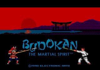 Pantallazo de Budokan: The Martial Spirit para Sega Megadrive