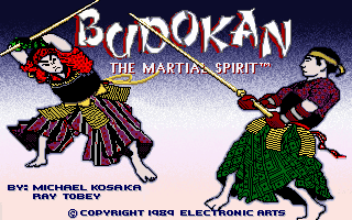 Pantallazo de Budokan: The Martial Spirit para PC