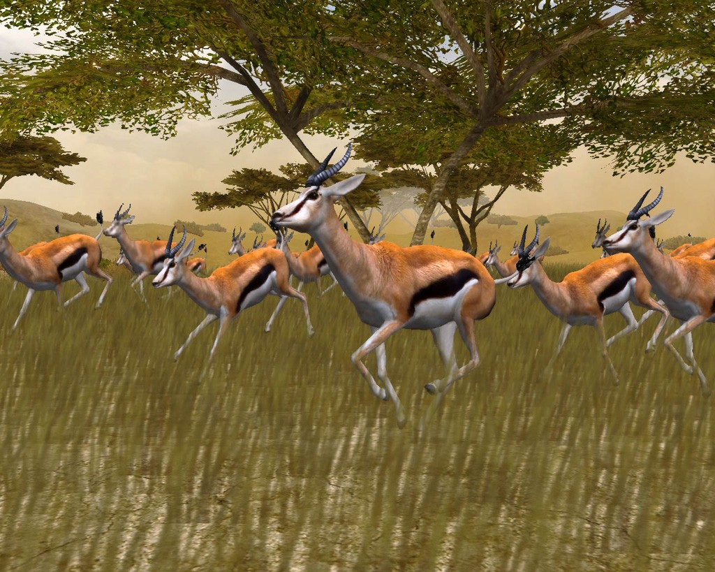 Pantallazo de Cabela's African Safari para Xbox 360