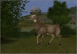 Pantallazo de Cabela's Big Game Hunter: 2005 Adventures para PlayStation 2