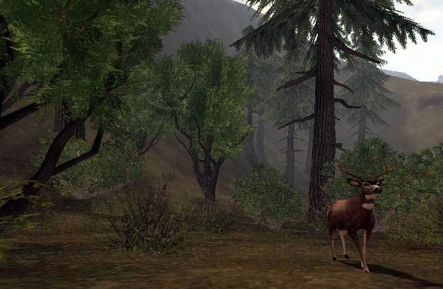 Pantallazo de Cabela's Deer Hunt: 2004 Season para Xbox