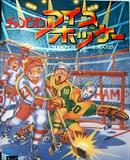 Caratula nº 248568 de Champion Ice Hockey (271 x 326)