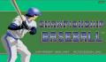 Pantallazo nº 9037 de Championship Baseball (320 x 200)
