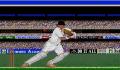 Pantallazo nº 9039 de Championship Cricket (319 x 201)