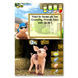 Pantallazo de Crazy Pig para Nintendo DS