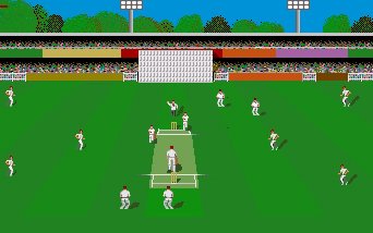 Pantallazo de Cricket Amiga para Amiga