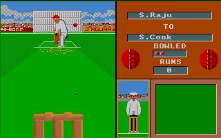 Pantallazo de Cricket Crazy para Amiga