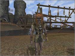 Pantallazo de Dark Age of Camelot: Shrouded Isles para PC