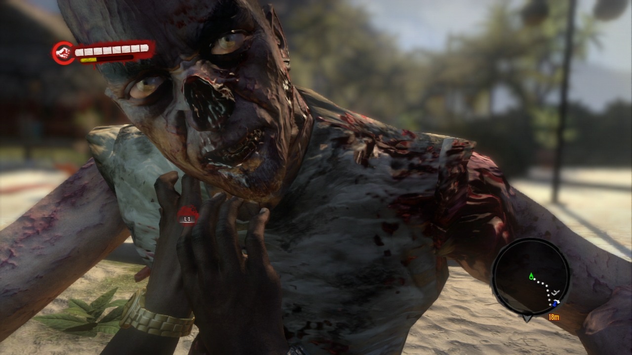 Pantallazo de Dead Island para PlayStation 3
