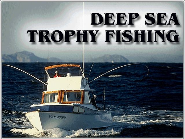 Pantallazo de Deep Sea Trophy Fishing para PC
