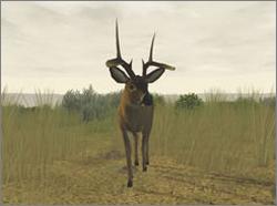 Pantallazo de Deer Hunter: The 2005 Season para PC
