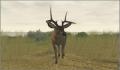 Foto 1 de Deer Hunter: The 2005 Season
