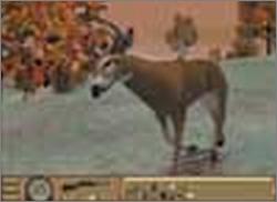Pantallazo de Deer Hunter 3: The Legend Continues [Jewel Case] para PC