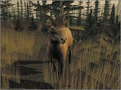 Pantallazo de Deer Hunter Presents: Trophy Collection para PC
