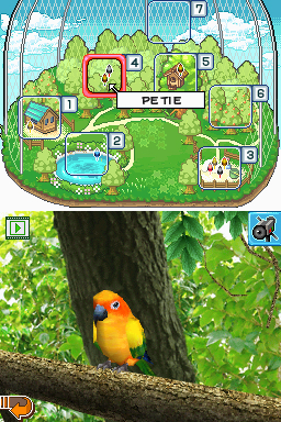 Pantallazo de Discovery Kids: Parrot Pals para Nintendo DS