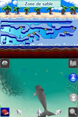Pantallazo de Dolphins 2: Tus Amigos del Mar para Nintendo DS