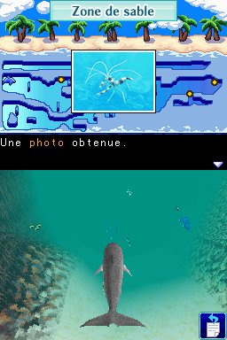 Pantallazo de Dolphins 2: Tus Amigos del Mar para Nintendo DS