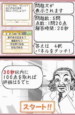 Pantallazo de Dragon Zakura (Japonés) para Nintendo DS