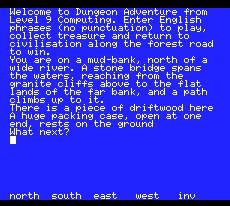 Pantallazo de Dungeon Adventure para MSX