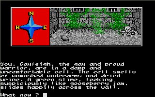 Pantallazo de Dungeons Amethysts Alchemists 'n Everythin' para Atari ST