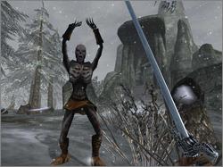 Pantallazo de Elder Scrolls III: Bloodmoon, The para PC