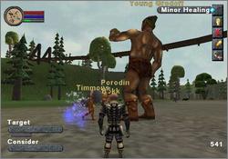 Pantallazo de EverQuest Online Adventures para PlayStation 2
