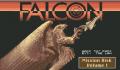 Pantallazo nº 9201 de Falcon Mission Disk Vol. I (317 x 199)