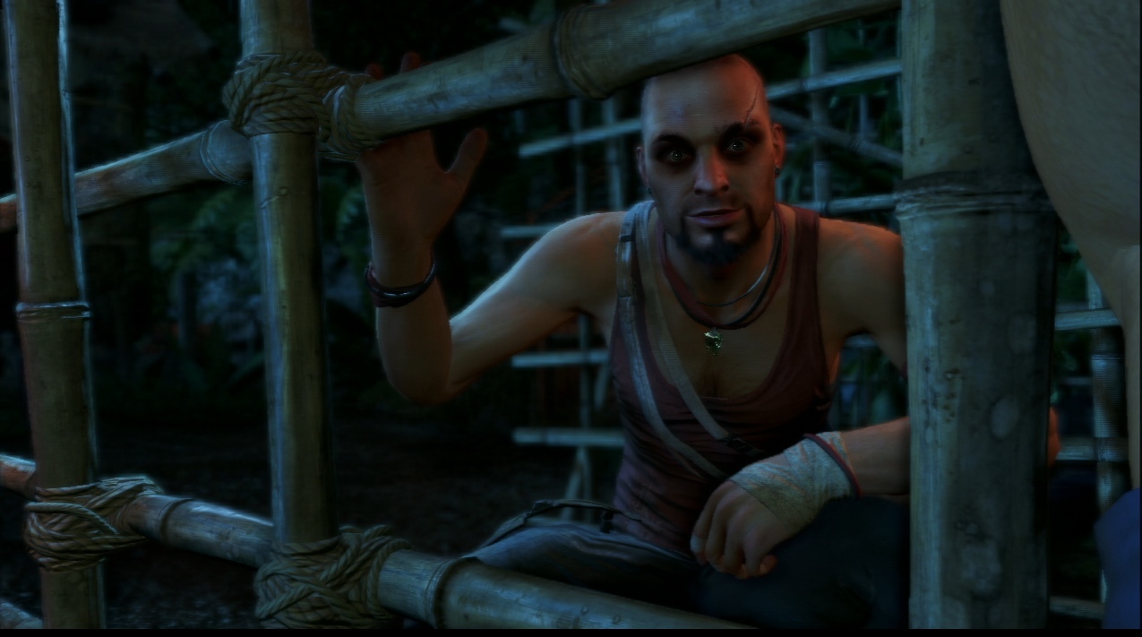 Pantallazo de Far Cry 3 para PlayStation 3