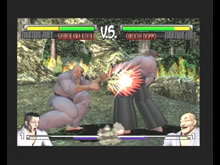 Pantallazo de Fighting Fury para PlayStation 2