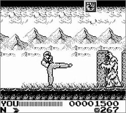 Pantallazo de Fighting Simulator para Game Boy